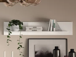 Półki><noscript><img width=