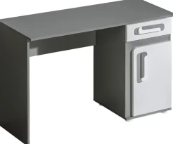 Biurka|Zestawy Mebli Młodzieżowych>DOMEL Biurko młodzieżowe 120 cm APETITO
