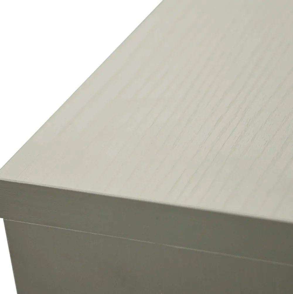 Komody>Lempert Dwudrzwiowa nowoczesna komoda do salonu 100 cm TOKEN eukaliptus