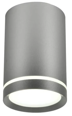 Oświetlenie Przedpokoju|Oświetlenie Jadalni>Candellux Lighting Lampa tuba sufitowa srebrna 10cm 1xGU10