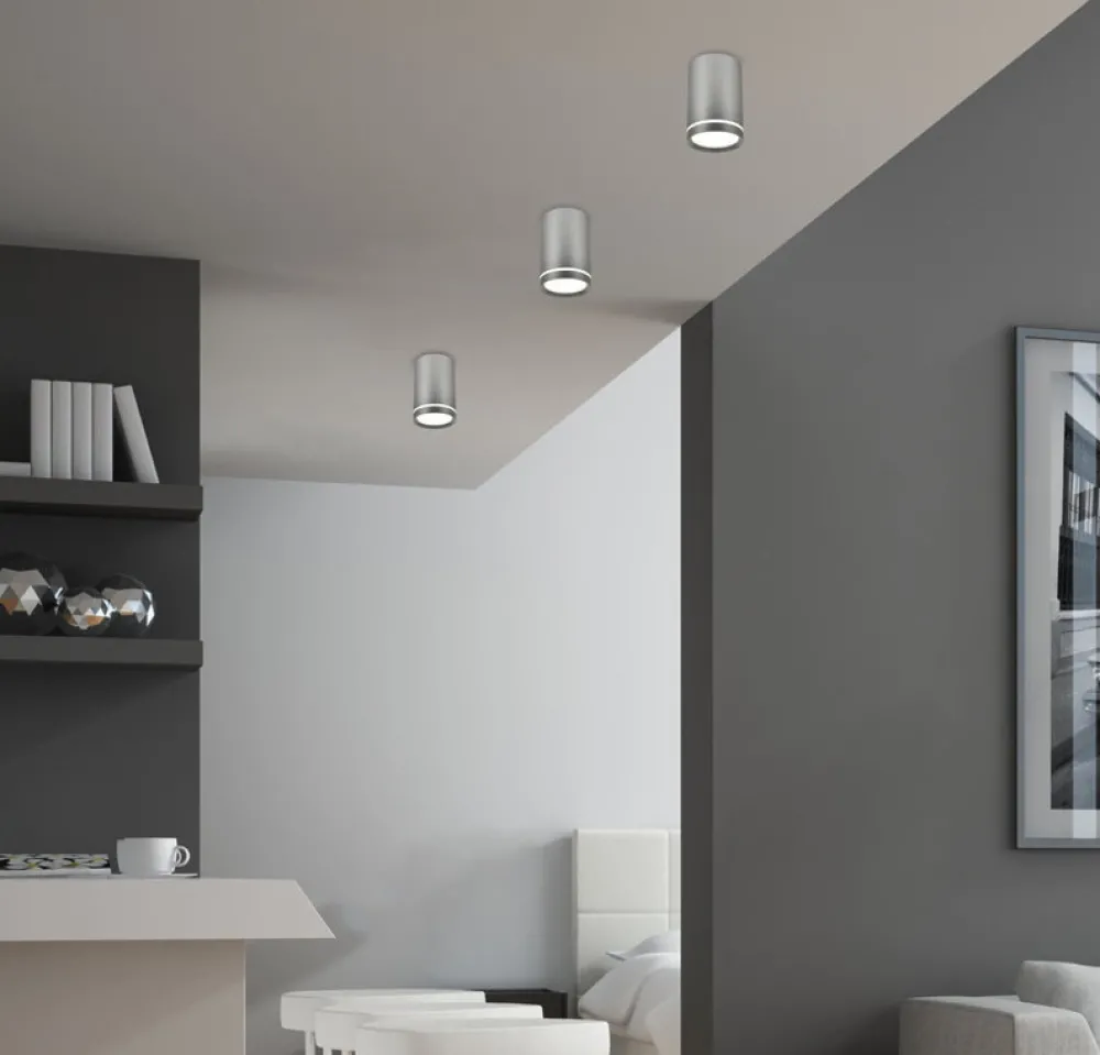 Oświetlenie Przedpokoju|Oświetlenie Jadalni>Candellux Lighting Lampa tuba sufitowa srebrna 10cm 1xGU10