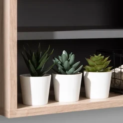 Półki><noscript><img width=