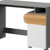 Biurka|Zestawy Mebli Młodzieżowych>DOLMAR Nowoczesne biurko do pokoju młodzieżowego 120 x 53 cm COOLIFY