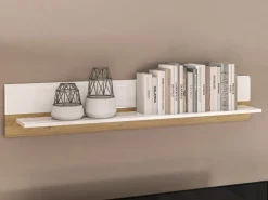 Półki><noscript><img width=