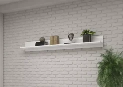 Półki><noscript><img width=