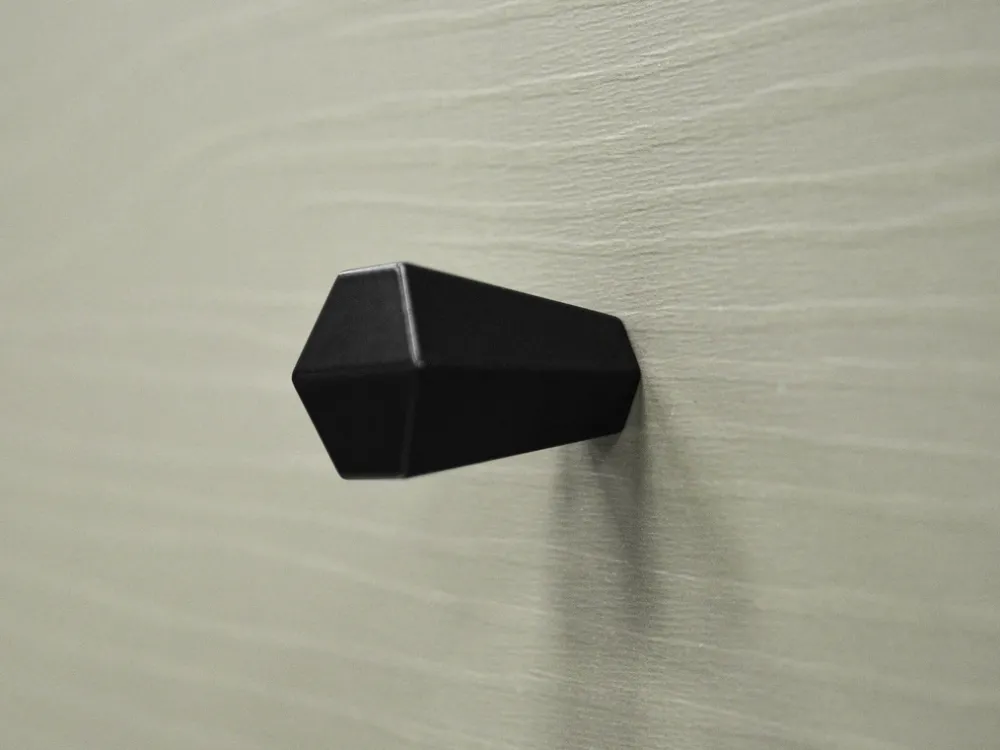 Komody>Lempert Wąska komoda do salonu dwudrzwiowa z półkami 100 cm TOKEN eukaliptus